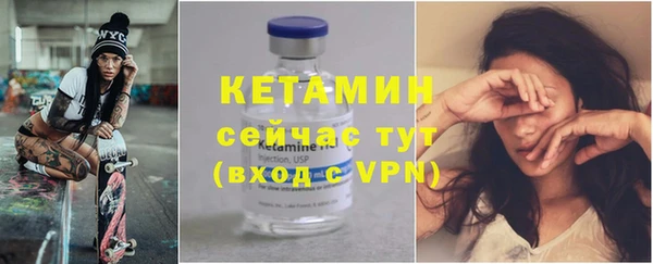 прущие грибы Волоколамск