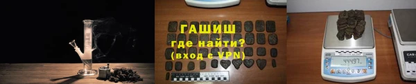 прущие грибы Волоколамск