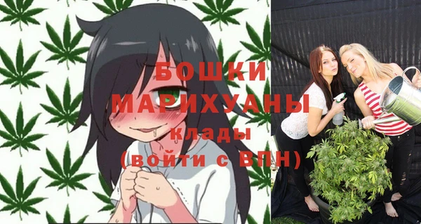прущие грибы Волоколамск
