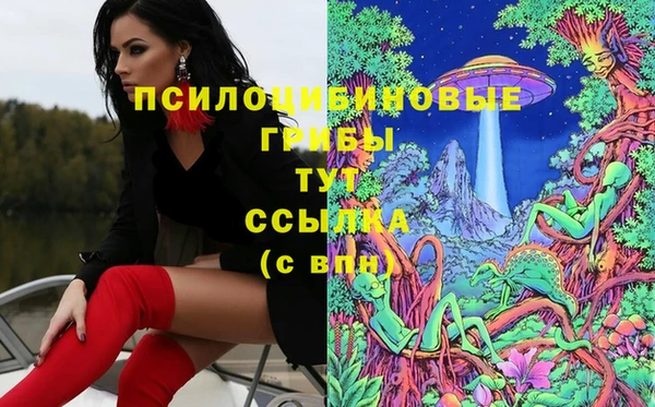 ГАЛЛЮЦИНОГЕННЫЕ ГРИБЫ Володарск