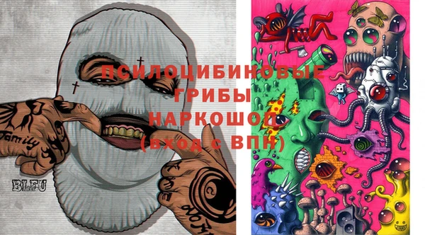 ГАЛЛЮЦИНОГЕННЫЕ ГРИБЫ Володарск