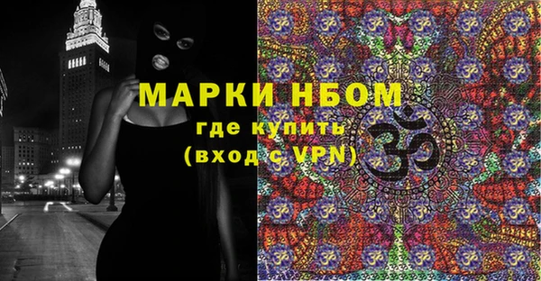 прущие грибы Волоколамск