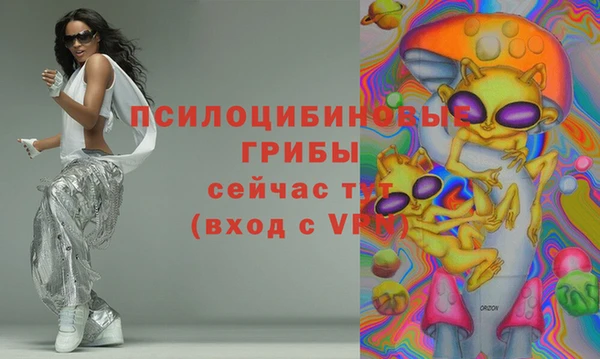 прущие грибы Волоколамск