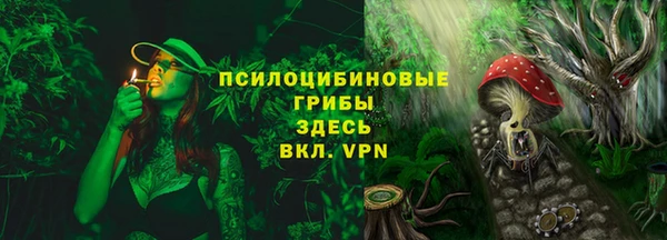 прущие грибы Волоколамск