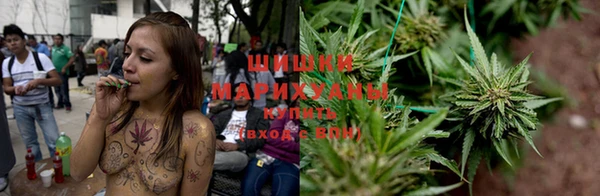 прущие грибы Волоколамск