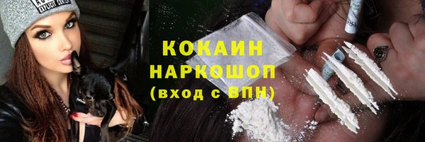 прущие грибы Волоколамск