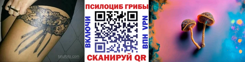 Купить где  Новоаннинский  Галлюциногенные грибы Cubensis 