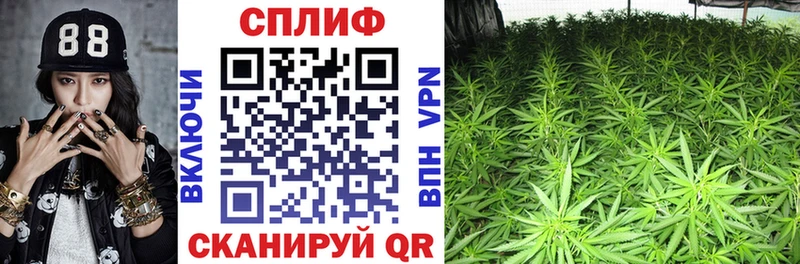 Купить закладки  Новоаннинский  Шишки марихуана конопля 